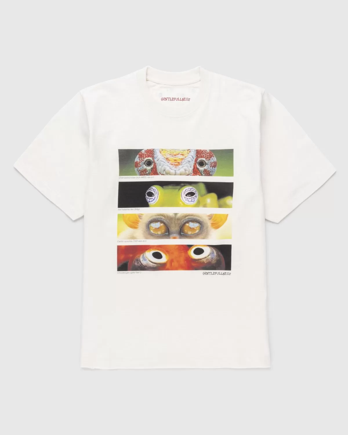 Männer Gentle Fullness Sanfte Fulle Animal Eyes T-Shirt Aus Recycelter Baumwolle Beige